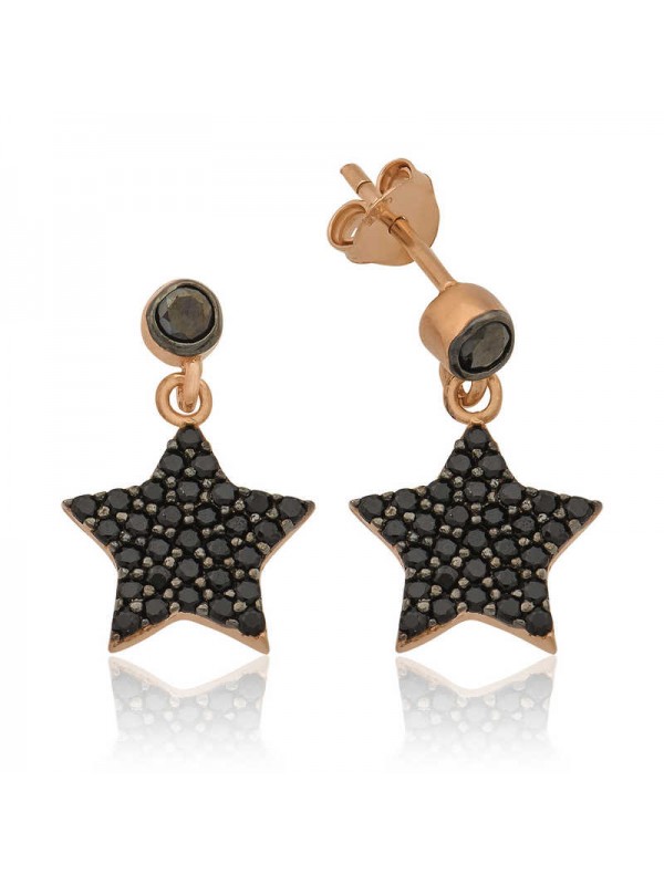 925 Ayar Gümüş Yıldız Küpe Ea1160193 (1152)