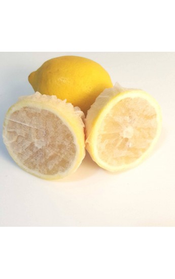 Limon Bonesi / 500 Adet / Bitki Çayı Bonesi (1152)&hellip;